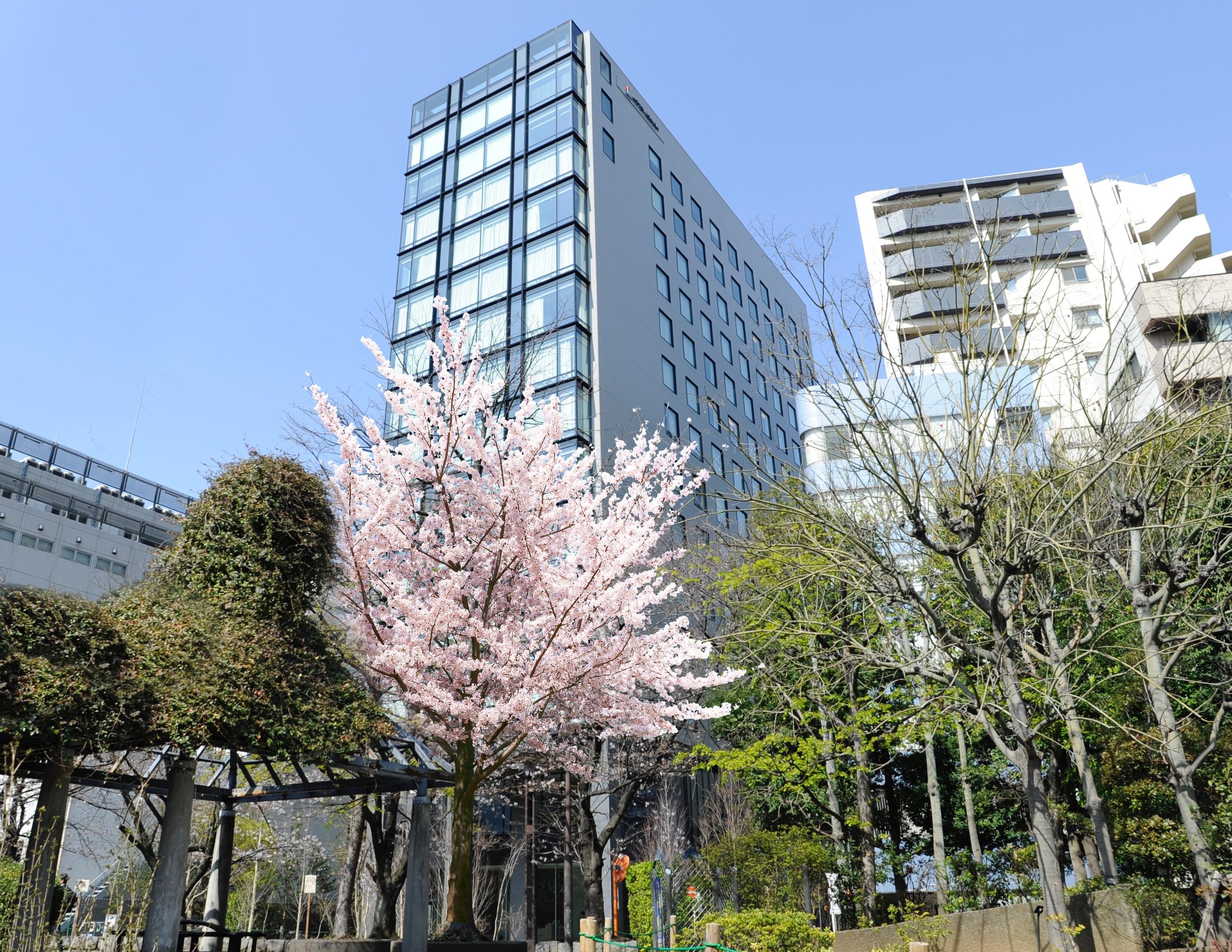 Hotel Keihan Tsukiji Ginza Grande Tokyo Eksteriør bilde